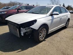 Hyundai Sonata se salvage cars for sale: 2019 Hyundai Sonata SE