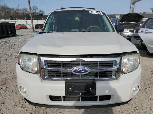 2010 Ford Escape XLT