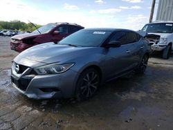 Salvage cars for sale at Memphis, TN auction: 2016 Nissan Maxima 3.5S