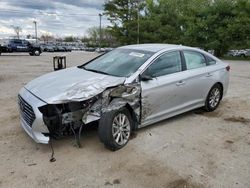 Salvage cars for sale from Copart Lexington, KY: 2019 Hyundai Sonata SE