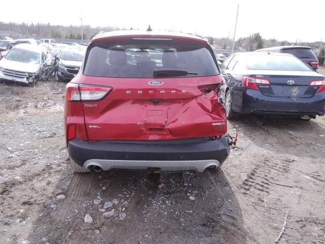 2020 Ford Escape SEL