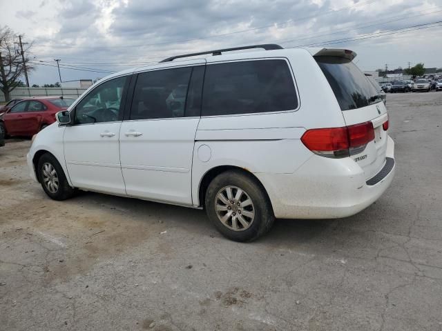 2010 Honda Odyssey EXL