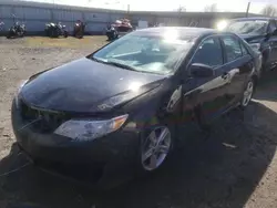 Salvage cars for sale from Copart Arlington, WA: 2013 Toyota Camry L