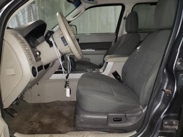 2010 Ford Escape XLT