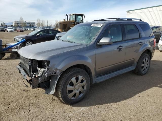 2009 Ford Escape Limited