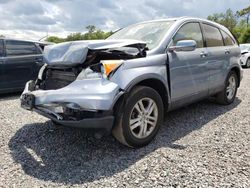Salvage cars for sale at Riverview, FL auction: 2010 Honda CR-V EXL