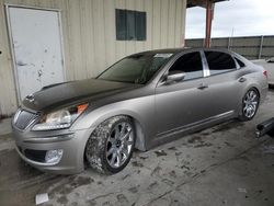 Salvage cars for sale at Homestead, FL auction: 2012 Hyundai Equus Signature