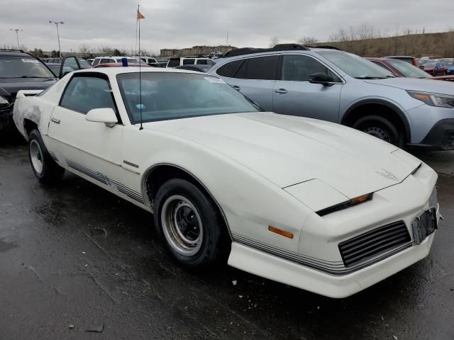 1984 Pontiac Firebird