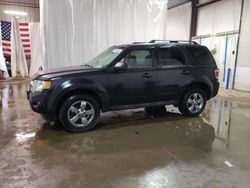 Ford Escape XLT salvage cars for sale: 2010 Ford Escape XLT