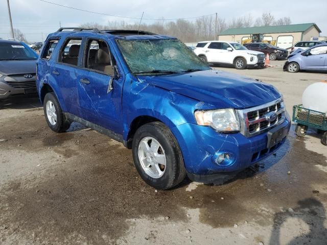 2011 Ford Escape XLT