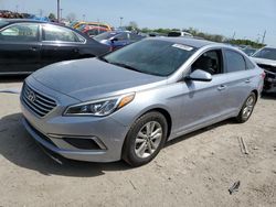 Salvage cars for sale at Indianapolis, IN auction: 2016 Hyundai Sonata SE