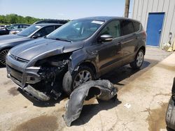 Vehiculos salvage en venta de Copart Memphis, TN: 2013 Ford Escape SEL