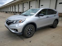 Compre carros salvage a la venta ahora en subasta: 2016 Honda CR-V SE