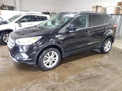 Clean Title Cars for sale at auction: 2019 Ford Escape SEL