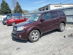 Salvage cars for sale at Albany, NY auction: 2009 Honda Pilot EXL