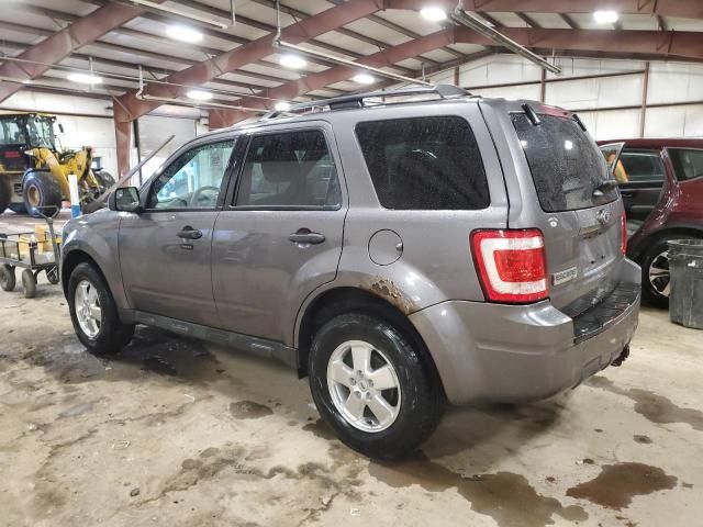 2012 Ford Escape XLT