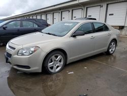 Salvage cars for sale at Lawrenceburg, KY auction: 2011 Chevrolet Malibu LS