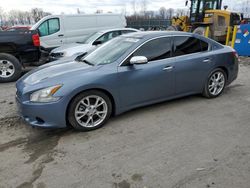 Nissan Maxima S salvage cars for sale: 2010 Nissan Maxima S