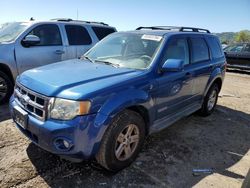 Ford Escape HEV salvage cars for sale: 2008 Ford Escape HEV