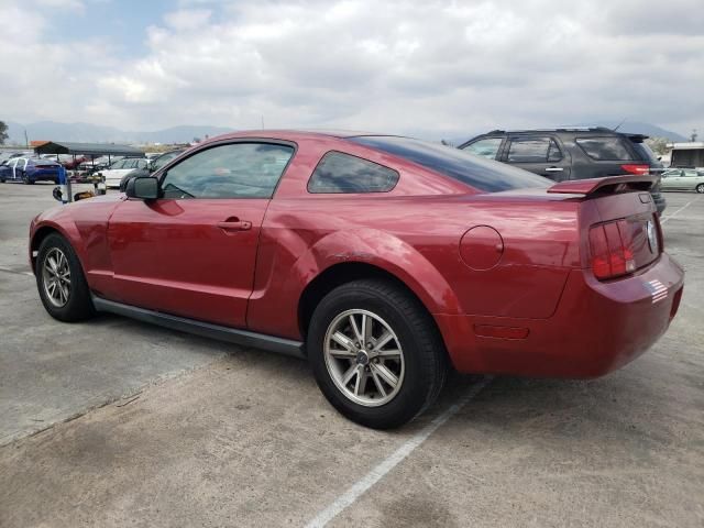 2005 Ford Mustang