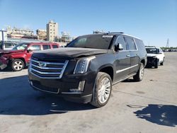 Cadillac Escalade esv Platinum Vehiculos salvage en venta: 2016 Cadillac Escalade ESV Platinum