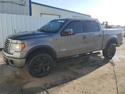 Vehiculos salvage en venta de Copart Riverview, FL: 2012 Ford F150 Supercrew