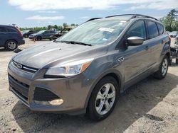 Salvage cars for sale at Houston, TX auction: 2014 Ford Escape SE