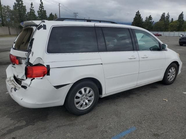 2008 Honda Odyssey EXL