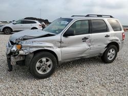 Salvage cars for sale at Temple, TX auction: 2011 Ford Escape XLT