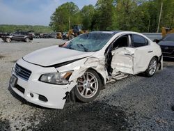 Nissan Maxima s salvage cars for sale: 2010 Nissan Maxima S