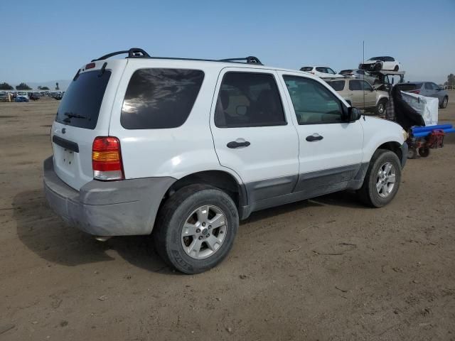 2005 Ford Escape XLT