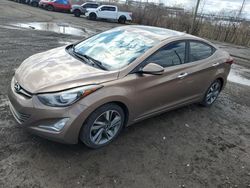 Salvage cars for sale at Montreal Est, QC auction: 2014 Hyundai Elantra SE