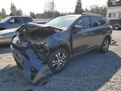 Salvage cars for sale from Copart Graham, WA: 2017 Toyota Rav4 LE