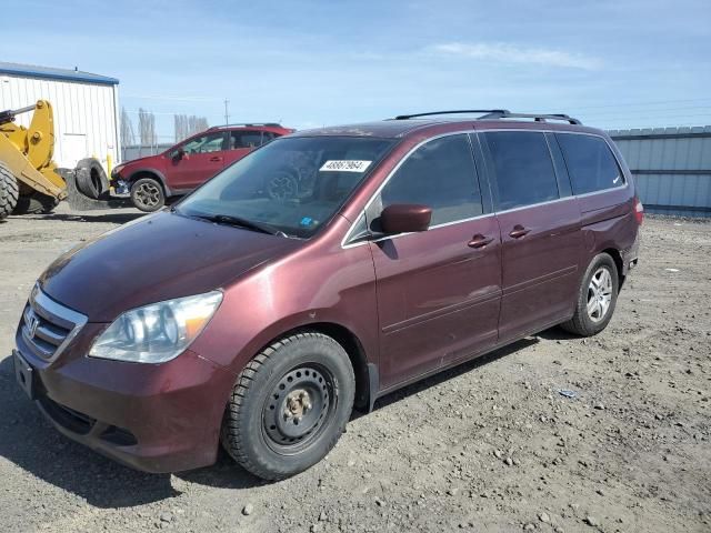 2007 Honda Odyssey EXL