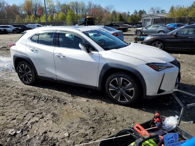 2020 Lexus UX 250H