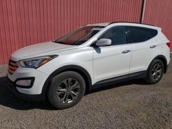 Salvage cars for sale at London, ON auction: 2013 Hyundai Santa FE Sport