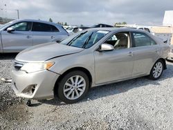 Salvage cars for sale at Mentone, CA auction: 2014 Toyota Camry SE