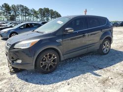 Salvage cars for sale at Loganville, GA auction: 2013 Ford Escape SEL