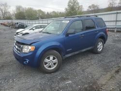 Salvage cars for sale at Grantville, PA auction: 2008 Ford Escape XLT