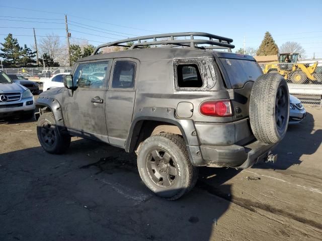 2007 Toyota FJ Cruiser