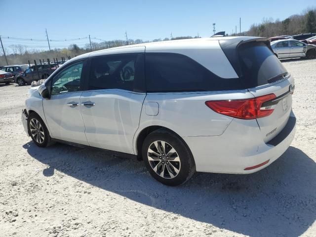 2023 Honda Odyssey EXL