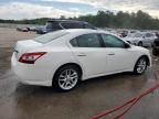 2009 Nissan Maxima S