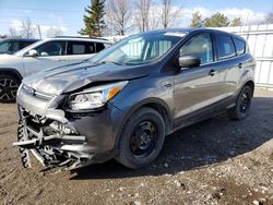 Salvage cars for sale from Copart Ontario Auction, ON: 2013 Ford Escape SE