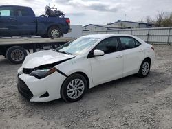 Salvage cars for sale at Albany, NY auction: 2019 Toyota Corolla L