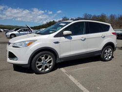 Salvage cars for sale from Copart Brookhaven, NY: 2013 Ford Escape SEL