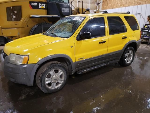 2001 Ford Escape XLT