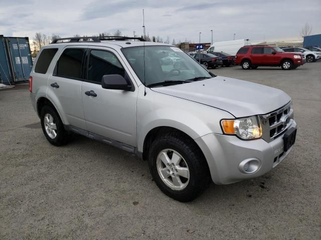 2009 Ford Escape XLT