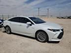 2019 Toyota Avalon XLE