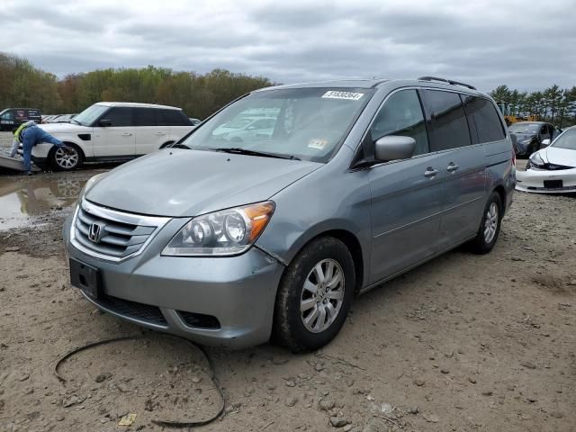 2009 Honda Odyssey EXL