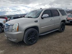 Salvage cars for sale at Magna, UT auction: 2007 Cadillac Escalade Luxury